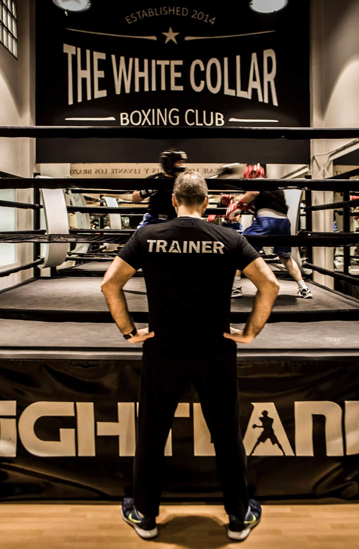 Mejores Escuelas De Box En Venustiano Carranza CDMX Cerca De Mi 238 The White Collar Boxing Club