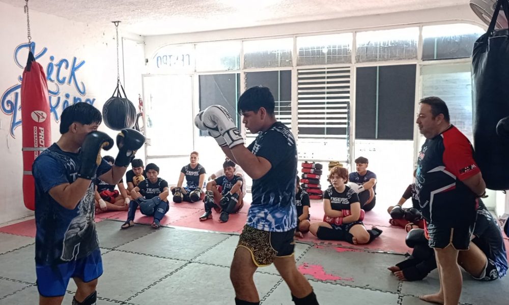 Fortaleza Boxig Díaz Gimnasio De Box Revisión Y Opiniones 21 Tigres Combat Club