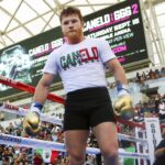 Veneno Boxing Gym Revisión Y Opiniones