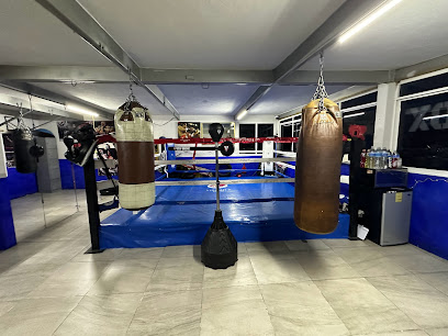 VICMAN’S GYM - BOX