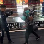 Yonekura Boxing Club Revisión Y Opiniones