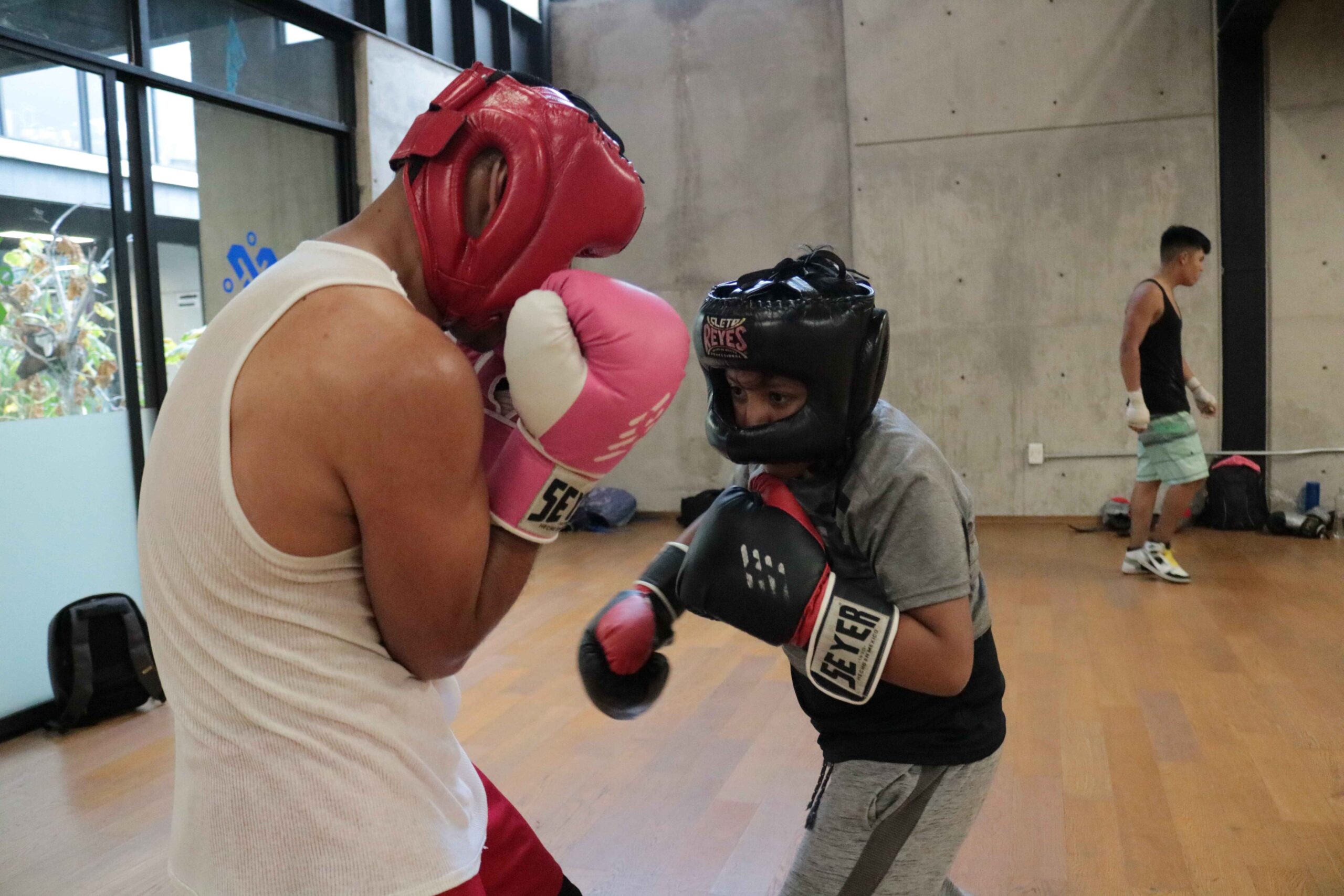 Mejores Escuelas De Box En Venustiano Carranza CDMX Cerca De Mi 37 Clases de Box en CDMX