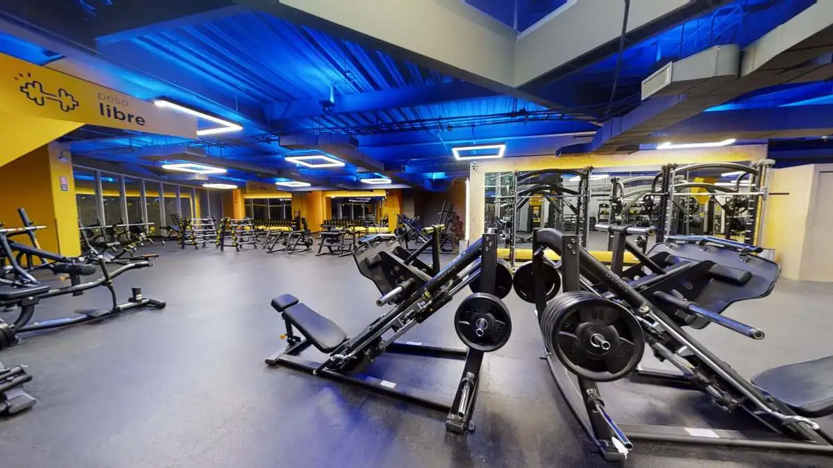 Mejores Escuelas De Box En Venustiano Carranza CDMX Cerca De Mi 35 Gimnasios Smart Fit en CDMX